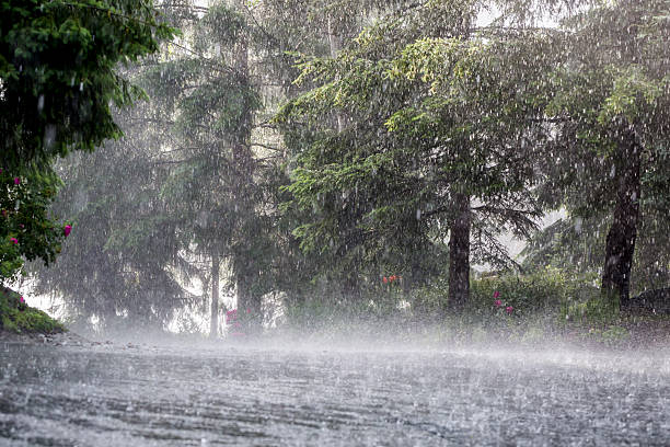 Torrential Rain